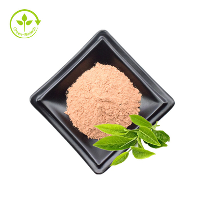 Teh Hijau Organik Ekstrak Teh Instan Hijau Bubuk EGCG Powder Oleh Pabrik GMP