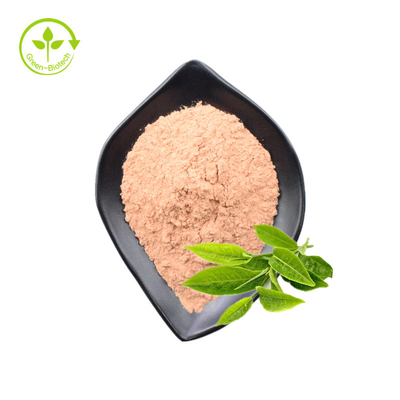 Ekstrak Daun Teh Hijau Food Grade Polifenol 98% Catechin 80% Eggcg 60% Bulk Powder