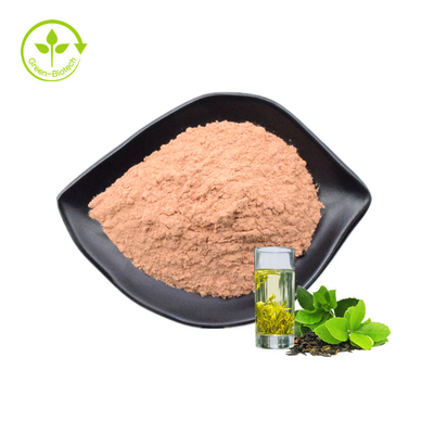 Pasokan Pabrik Ekstrak Teh Hijau 80% Catechin Green Tea Extract Powder Ekstrak Teh Hijau