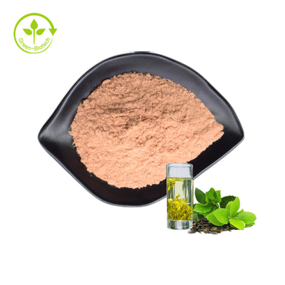 Pasokan Pabrik Ekstrak Teh Hijau 80% Catechin Green Tea Extract Powder Ekstrak Teh Hijau
