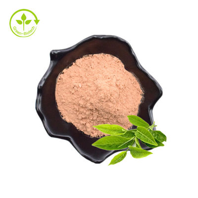 Pabrik Grosir Theanine Powder L-Theanine Powder 99% Ekstrak Teh Hijau Hijau Suplemen Asam Amino