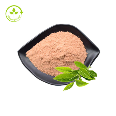 Private Label Organik Alami Teh Hijau Murni Mengekstrak Bubuk Matcha