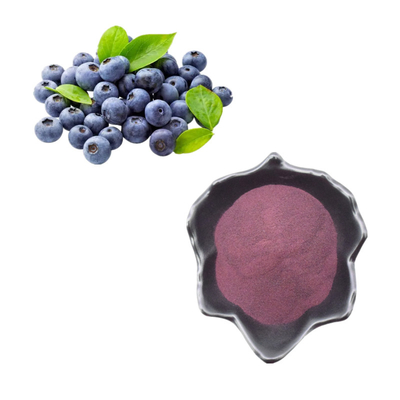 Bubuk Buah Alami Murni Ekstrak Bubuk Blueberry Anthocyanin Bilberry Extract Powder