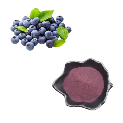 Bubuk Buah Alami Murni Ekstrak Bubuk Blueberry Anthocyanin Bilberry Extract Powder