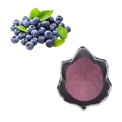 Bubuk Ekstrak Blueberry Alami / Blueberry Anthocyanin