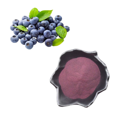 Bubuk Ekstrak Blueberry Alami / Blueberry Anthocyanin