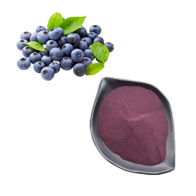 Pure Natural Blueberry Extract 25% Anthocyanin Bilberry Extract Powder