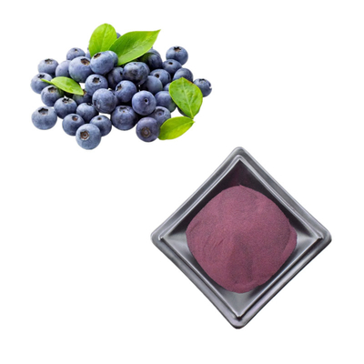 Bubuk Ekstrak Blueberry Liar Anthocyanin Bubuk Blueberry 1 kg