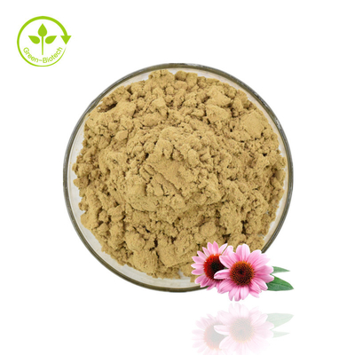 Bubuk Ekstrak Echinacea Berkualitas Tinggi Ekstrak Echinacea Purpurea 4% Serbuk Polifenol