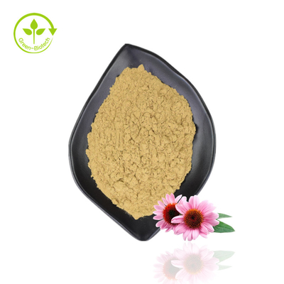 Ekstrak Echinacea Kualitas Terbaik Bubuk Ekstrak Echinacea Organik Purpurea