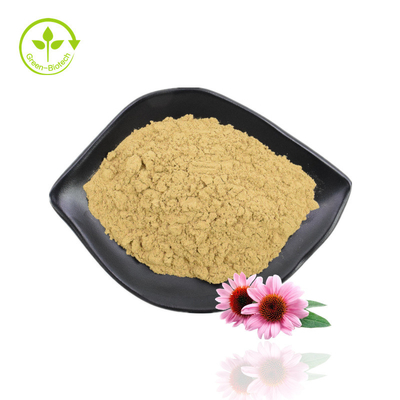 Ekstrak Ramuan Echinacea Ekstrak Echinacea Purpurea Ekstrak Polifenol Echinacea