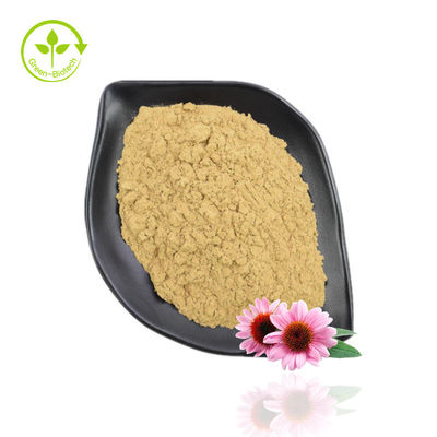 Bubuk Ekstrak Echinacea Purpurea Kemurnian Tinggi 10% -40% Echinacoside