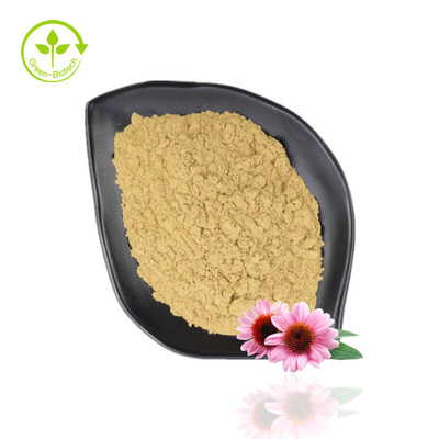 Jual Panas Ekstrak Echinacea Purpurea 4% -6% Polifenol 2% -4% Bubuk Echinacea Alami