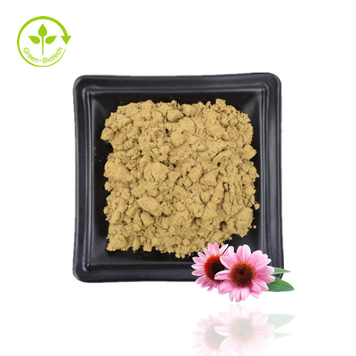 Pasokan Ekstrak Echinacea Purpurea Ekstrak Echinacea Ekstrak Bunga Echinacea Purpurea Alami 4% Polifenol