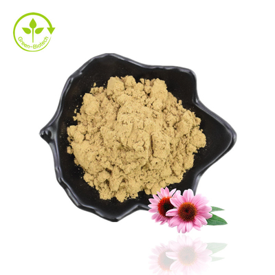 Produsen Asli Pasokan Ekstrak Akar Echinacea Purpurea Food Grade Berkualitas Baik