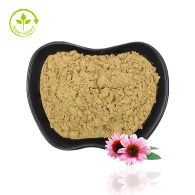 Pasokan Pabrik Echinacea Powder Ekstrak Echinacea Purpurea Ekstrak Echinacea Dengan Kualitas Tinggi
