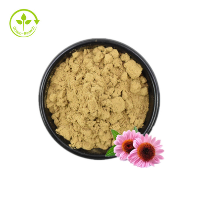 Ekstrak Echinacea/Ekstrak Echinacea Purpurea Dalam Massal/Ekstrak Echinacea 4% Polifenol