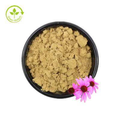 Sertifikat Iso 100% Ekstrak Echinacea Alami Ekstrak Echinacea Purpurea 10% Polifenol