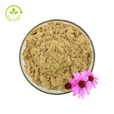 Sertifikat Iso 100% Ekstrak Echinacea Alami Ekstrak Echinacea Purpurea 10% Polifenol