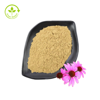 Pasokan Ekstrak Echinacea Purpurea Kelas Baik Suplemen Kesehatan Ekstrak Echinacea Purpurea