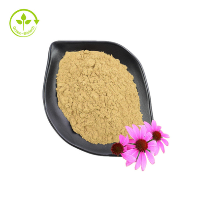 Pasokan Ekstrak Echinacea Purpurea Kelas Baik Suplemen Kesehatan Ekstrak Echinacea Purpurea