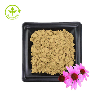 Pasokan Massal Ekstrak Echinacea Purpurea 4% Polifenol 2% Asam Chicorat