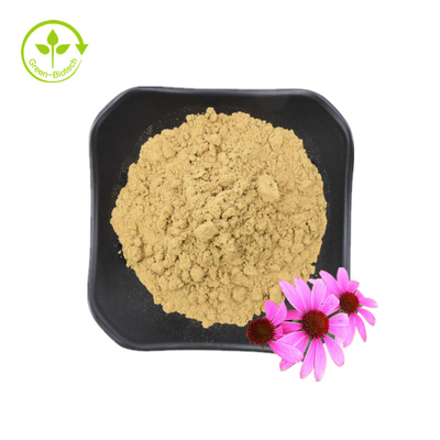 Ekstrak Akar Echinacea Purpurea Berkualitas Tinggi 10% Polifenol Ekstrak Echinacea Purpurea Ekstrak Echinacea