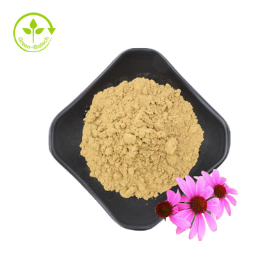 Ekstrak Akar Echinacea Purpurea Berkualitas Tinggi 10% Polifenol Ekstrak Echinacea Purpurea Ekstrak Echinacea