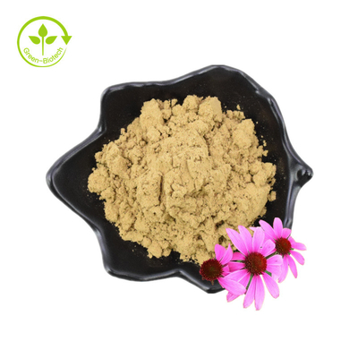 Murni 4% Asam Chicoric Ekstrak Bunga Echinacea Purpurea Ekstrak Echinacea Purpurea