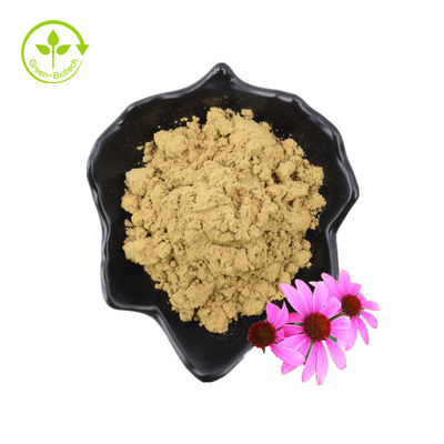 Murni 4% Asam Chicoric Ekstrak Bunga Echinacea Purpurea Ekstrak Echinacea Purpurea