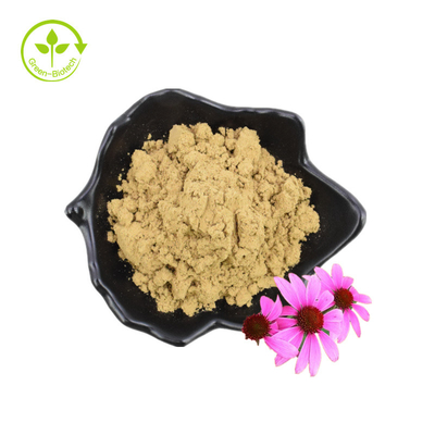 Biji Bunga Kering Polifenol Organik Ekstrak Echinacea Purpurea