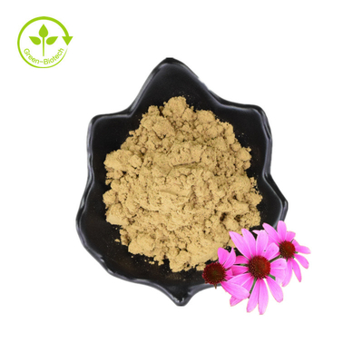 Biji Bunga Kering Polifenol Organik Ekstrak Echinacea Purpurea