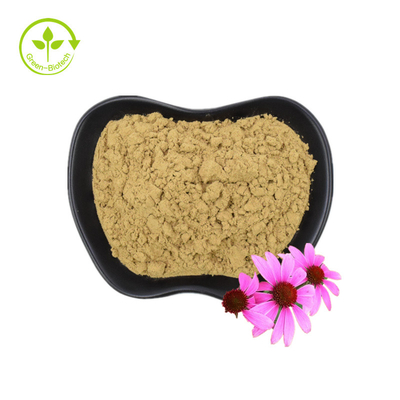 Ekstrak Organik Echinacea Purpurea Ekstrak Akar Echinacea
