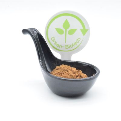 Tumbuhan Herbal Cina Gymnema Ekstrak Serbuk Suplemen Meningkatkan Kekebalan Dengan HPLC