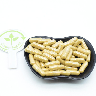 Natural Panax Siberian Korea Ekstrak Akar Ginseng Merah 10% 20% 80% Ginsenosides Powder