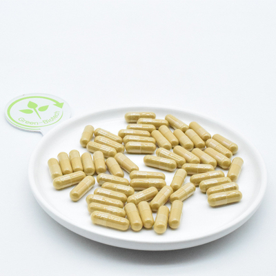 Changbai Mountain Panax Ginseng Akar Farmasi Ginseng segar