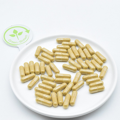 Akar Ginseng Buah alami ekstrak bubuk ginseng segar kering