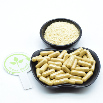 Akar Ginseng Buah alami ekstrak bubuk ginseng segar kering