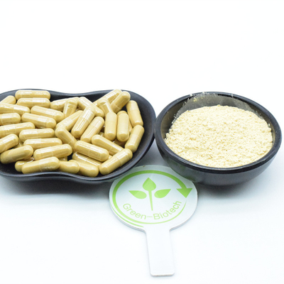 25kg/Drum Ekstrak Tanaman Alami Ekstrak Akar Ginseng Ginsenosides