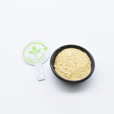 Kualitas Tinggi 6 Tahun Akar Ginseng Kering Panax Ekstrak Akar Ginseng