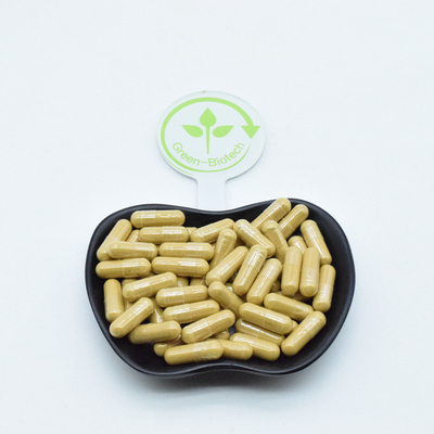 Ekstrak Akar Ginseng Alami Kapsul Bubuk Minum Kopi Teh Biji Panax Ginseng