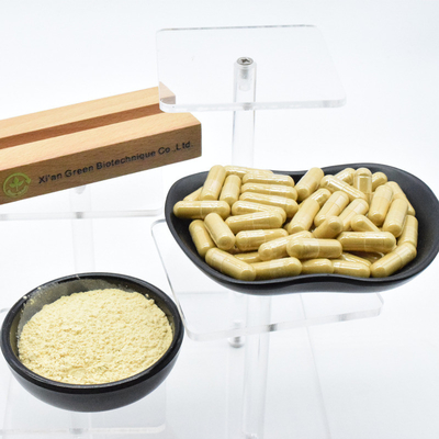 100% ekstrak tanaman alami Ginseng ekstrak bubuk untuk memperkuat energi vital