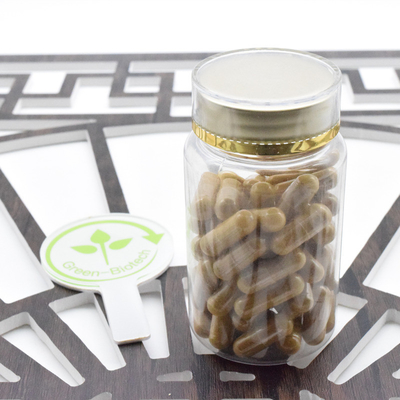 Suplemen Kesehatan Panax Ginseng Murni Bubuk Panax Ginseng Ekstrak 5%-80% Ginsenoside