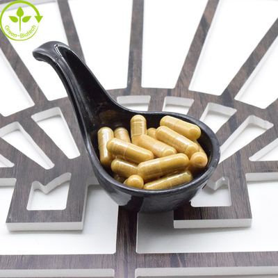 Sampel Gratis Organik Ginkgo Biloba Kapsul Ekstrak Cairan Ginkgo Biloba Ginseng