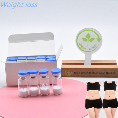 Semaglutide Untuk Bangunan Tubuh