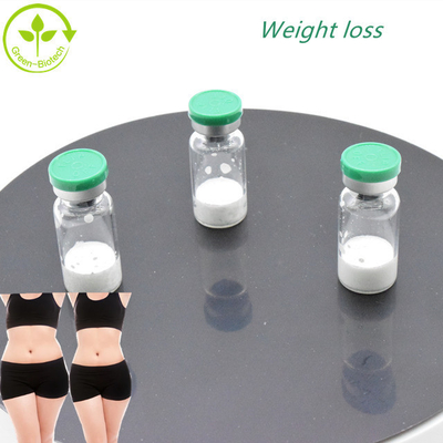Private Label Growth Hormone Kemurnian Tinggi 98%  Semaglutide