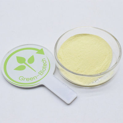 Private Label Kava Ekstrak 30% Kuning bubuk halus Kavalactone Untuk harga yang baik