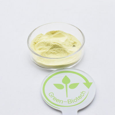 Private Label Kava Ekstrak 30% Kuning bubuk halus Kavalactone Untuk harga yang baik