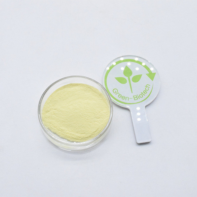 Bahan makanan Kuning Ekstrak Kava Organik Bubuk 30% Kavalactones
