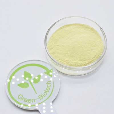 Grosir Ekstrak Kava Alami Organik 30% Bubuk Kavalactone Ekstrak Kava
